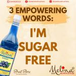 Melina Mocktail Flavor - Blueberry Sugar Free