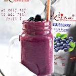 Melina Puree - Blueberry